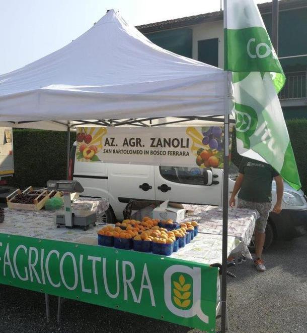 Albicocche anno nero la produzione crolla anche del 30 per cento 