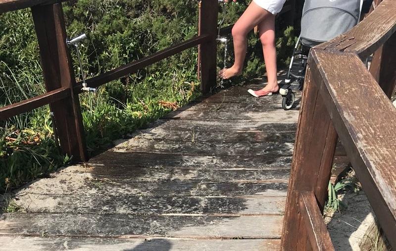 Lavapiedi alla pelosa