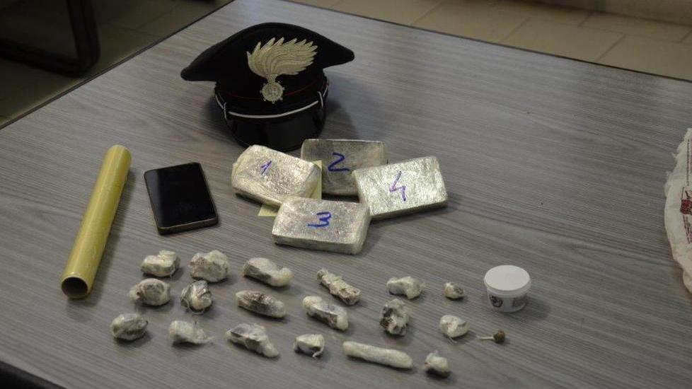 Nasconde la droga su un albero del parco pubblico: arrestato