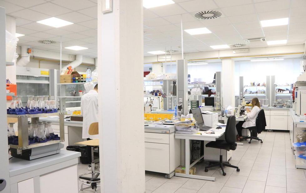 Tornano gli indirizzi di chimica e finissaggio 