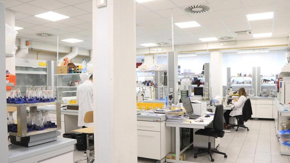 Tornano gli indirizzi di chimica e finissaggio