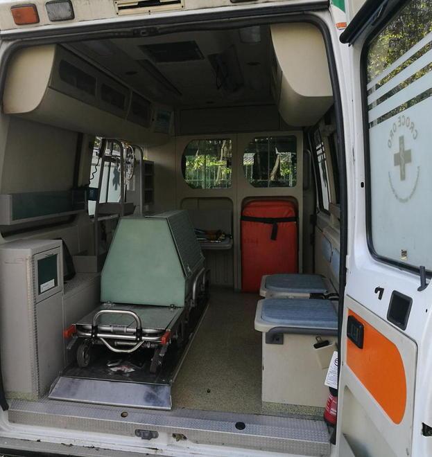 Un numero di emergenza per soccorrere cani e gatti 