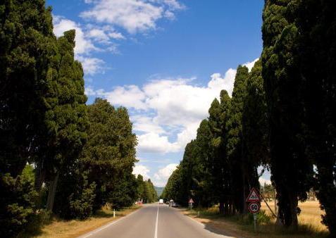 Viale dei Cipressi, un giorno da set cinematografico 