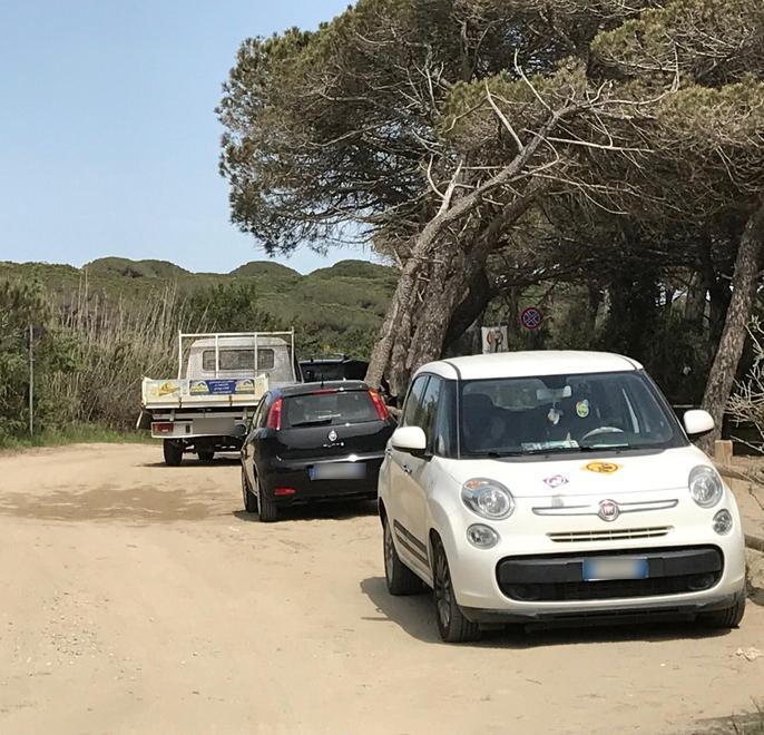 «Le auto sostano indisturbate nell’area vietata»