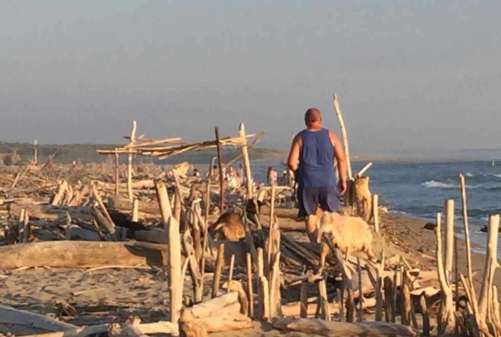 Marina di Vecchiano, tronchi e farmaci ad accogliere i turisti sulla spiaggia - Video