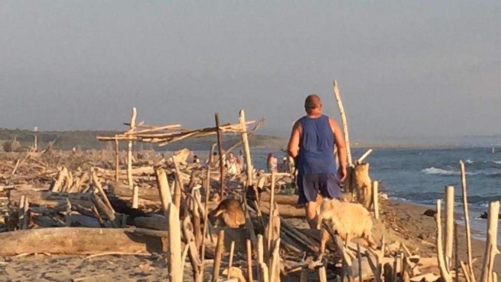 Marina di Vecchiano, tronchi e farmaci ad accogliere i turisti sulla spiaggia - Video