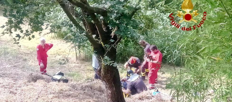 Ottantenne cade dall’olivo e finisce all’ospedale