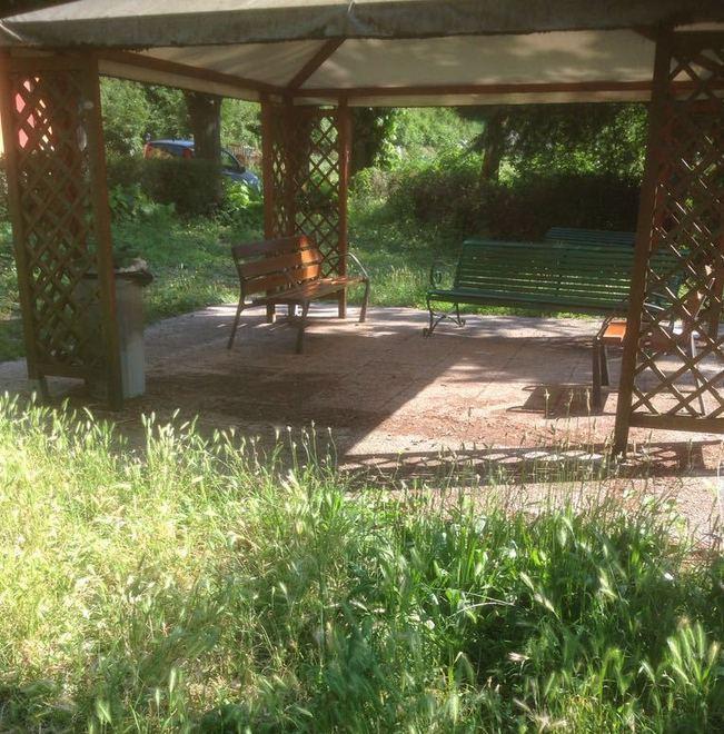 Erba alta e incuria nell’area relax dell’Auxilium Vitae
