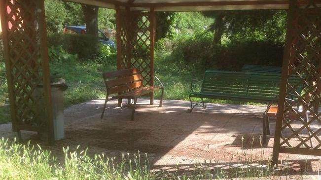 Erba alta e incuria nell’area relax dell’Auxilium Vitae