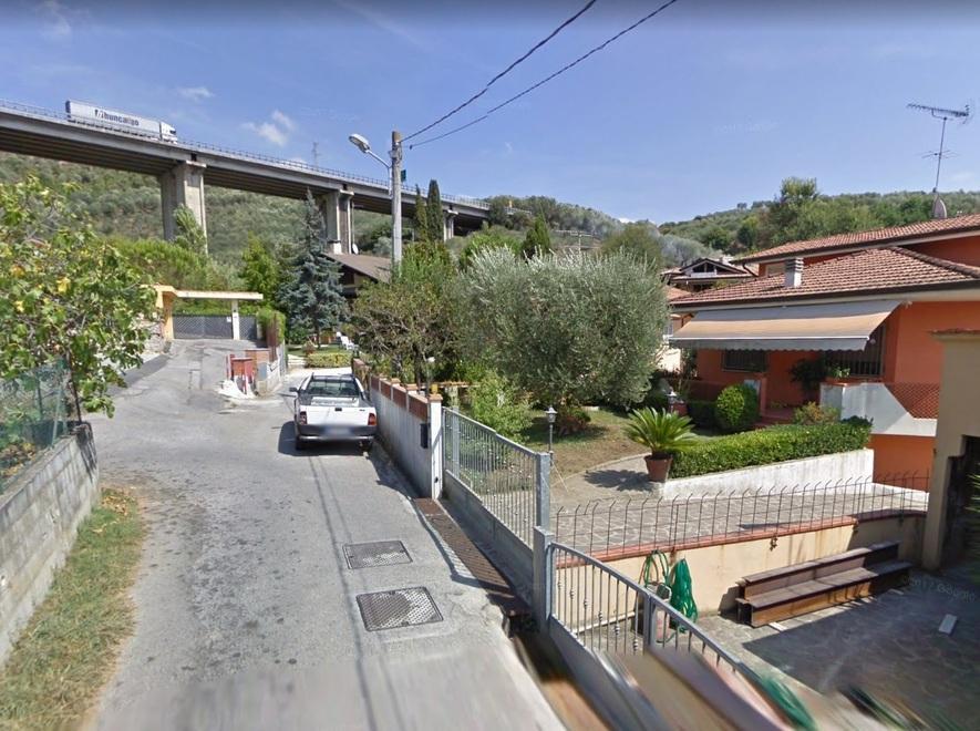 Sparano al gatto con la pistola ad aria 