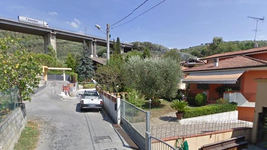 Sparano al gatto con la pistola ad aria