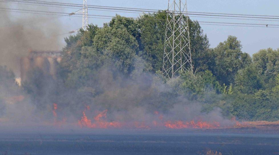 Vasto rogo di un campo, i vigili del fuoco evitano il peggio 