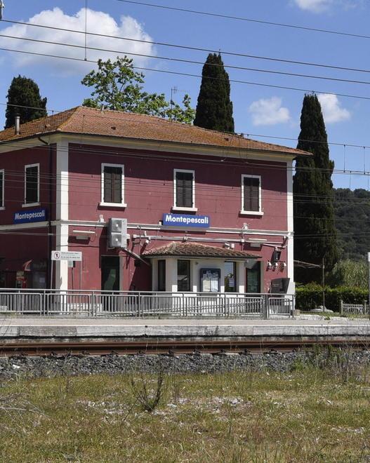 Si arrampica sul traliccio «Ho paura delle violenze» 