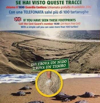 Sono le “caretta caretta” del mare
