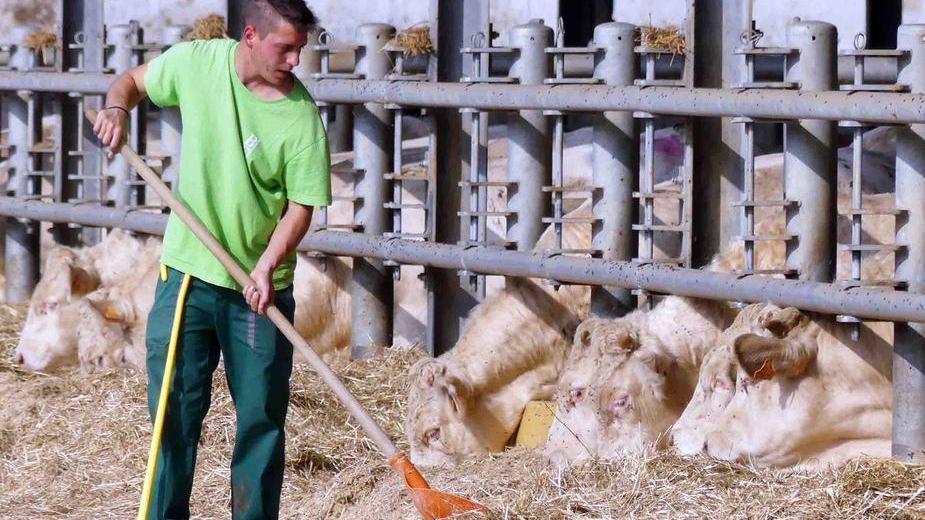 Dalla stalla alla strada In rete arriva il gas verde