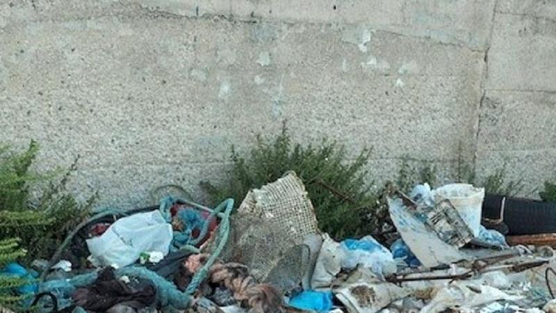 La denuncia del Wwf: troppi rifiuti nel porto di Alghero