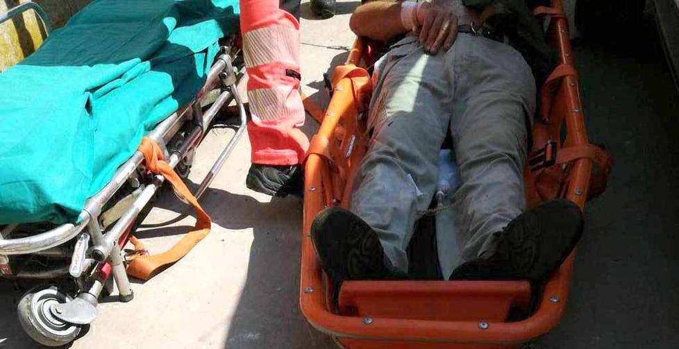 Assalito dai calabroni grave un 67enne 