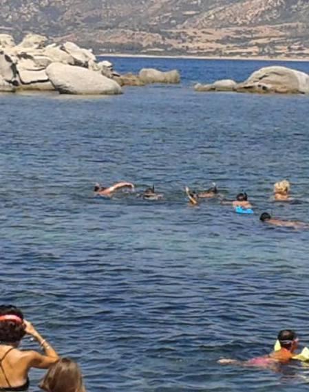 Tredici avventure sotto il mare