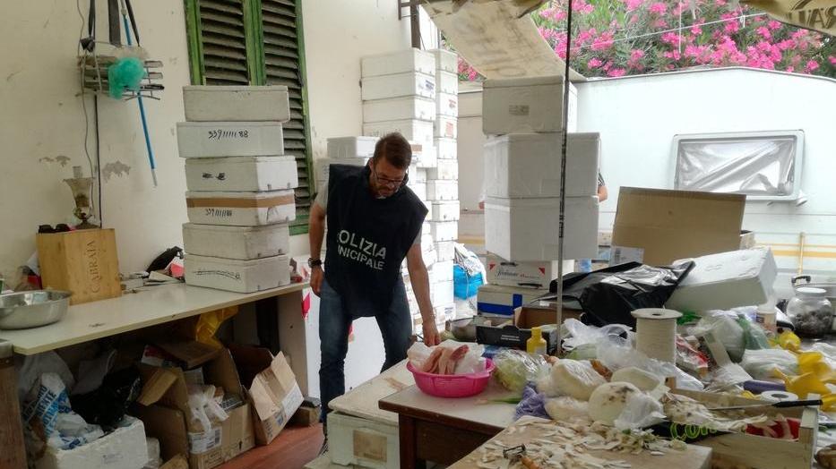 Nel resede trovano un laboratorio abusivo di catering