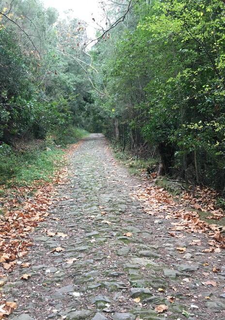 Un sentiero storico Riaperta l’antica Strada maestra riese 