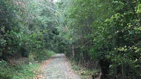 Un sentiero storico Riaperta l’antica Strada maestra riese