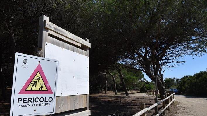«Fiumara off limits, si trovino soluzioni»