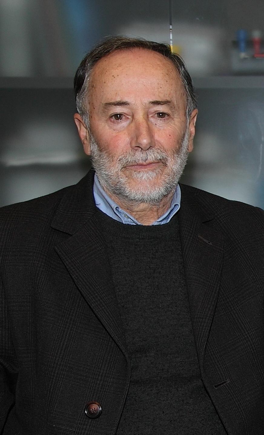 La Confartigianato chiede più controlli contro l’abusivismo 