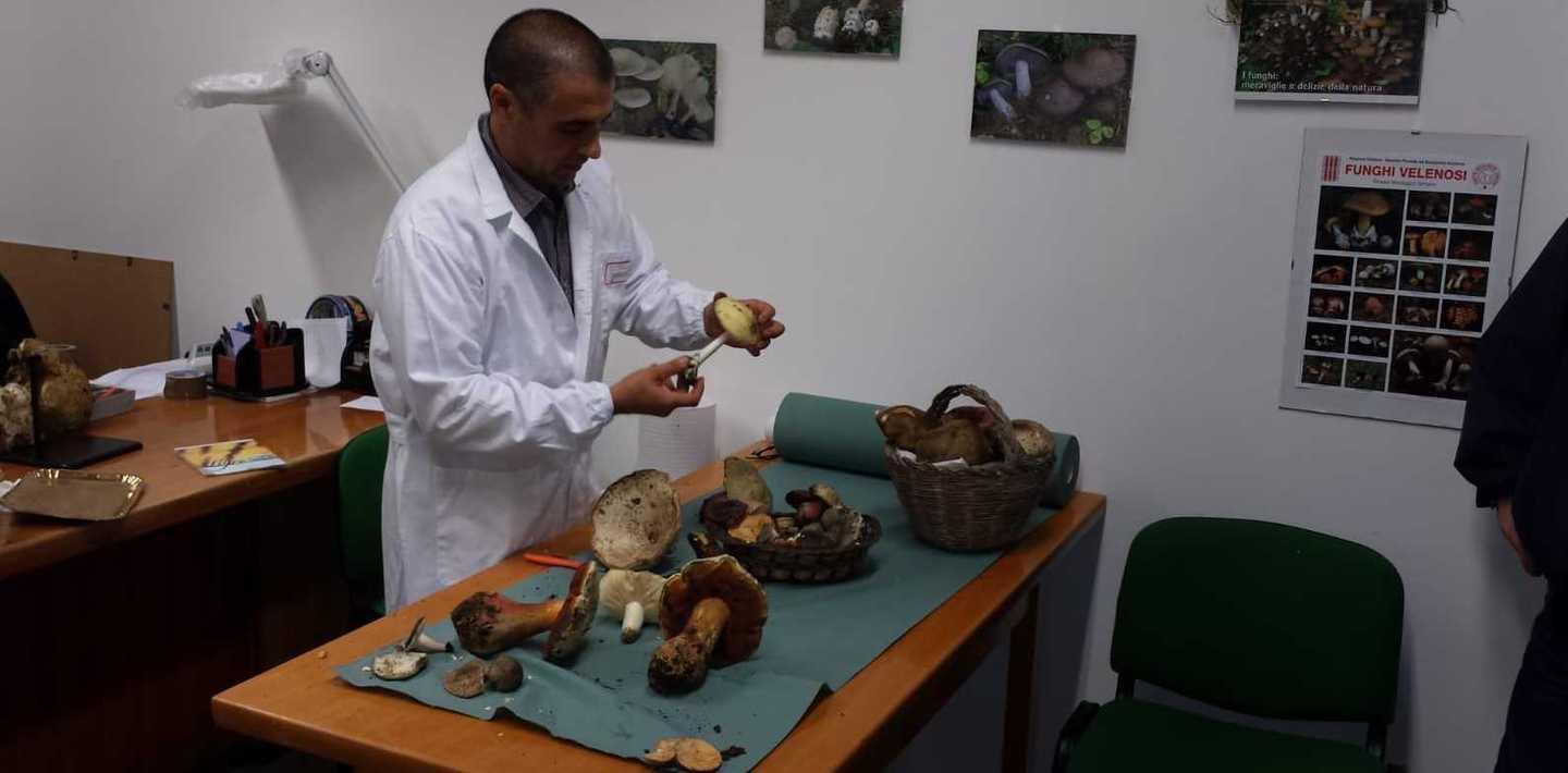 Avvelenato dai funghi raccolti a bordo piscina 