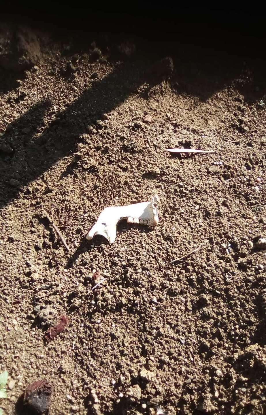 Cimitero, degrado senza fine 