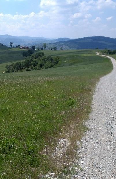 Sul monte Evangelo