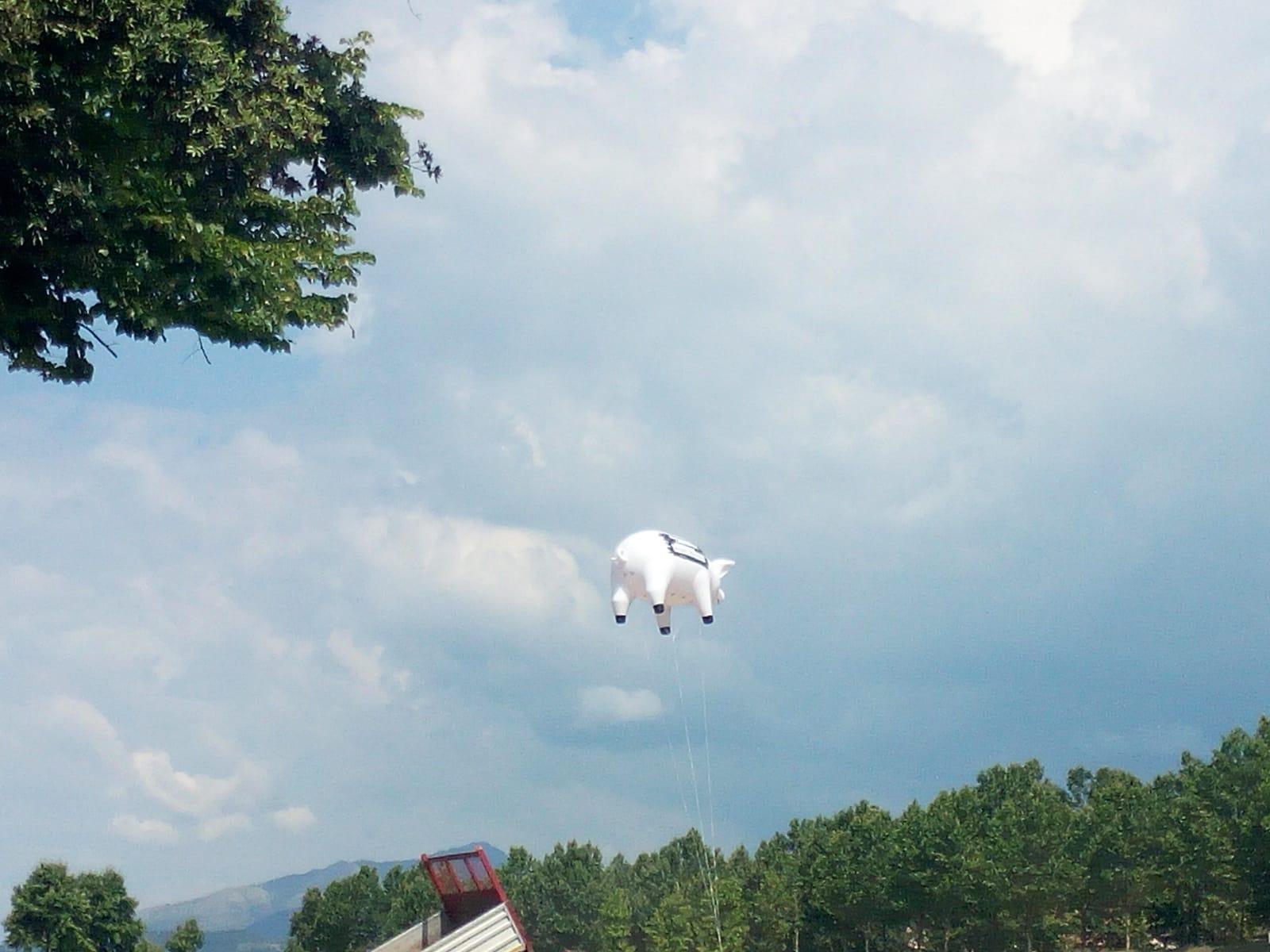 Il maiale volante al Balilla