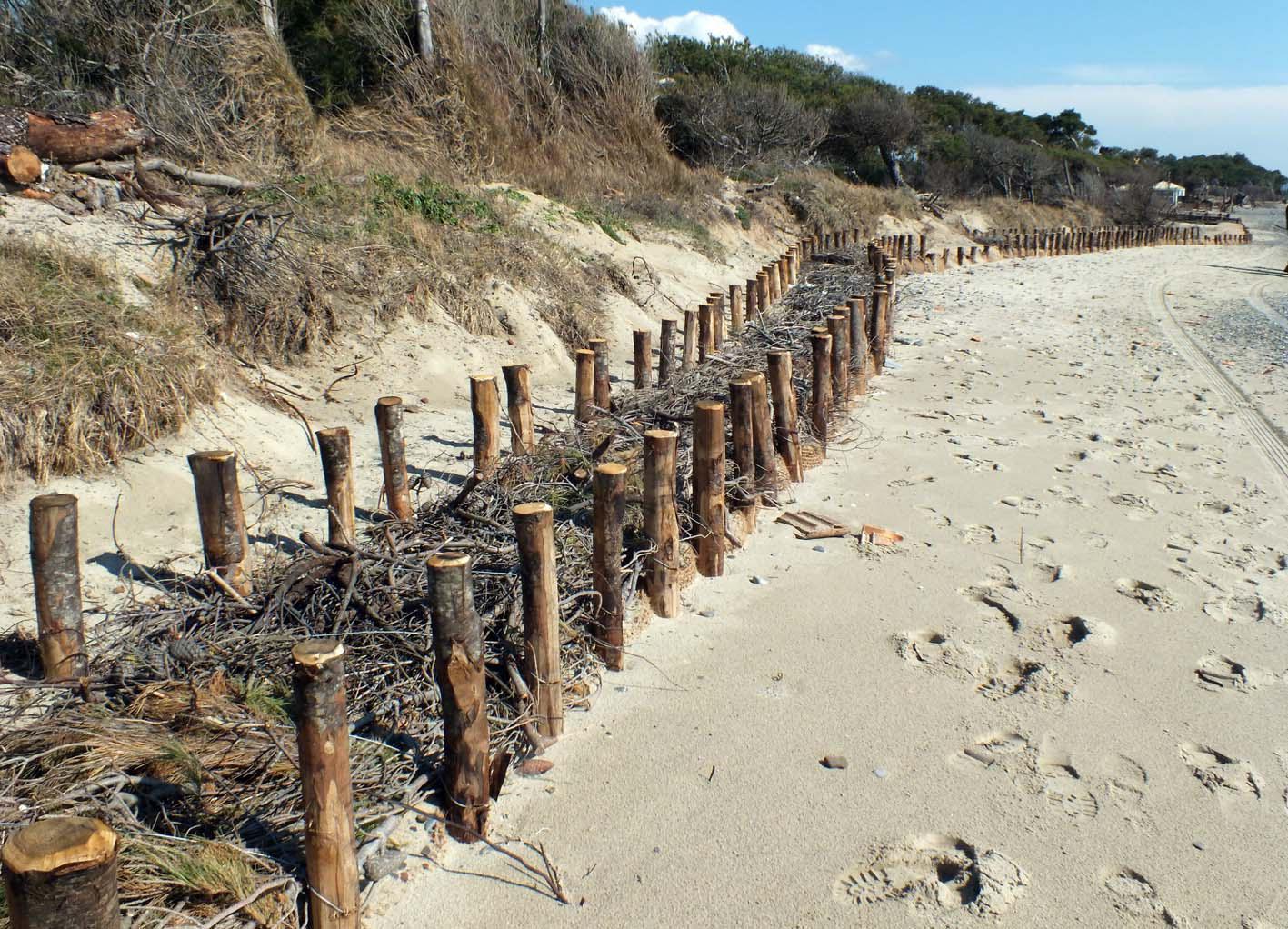 Opere contro l'erosione delle dune in Costa Est (foto Paolo Barlettani)