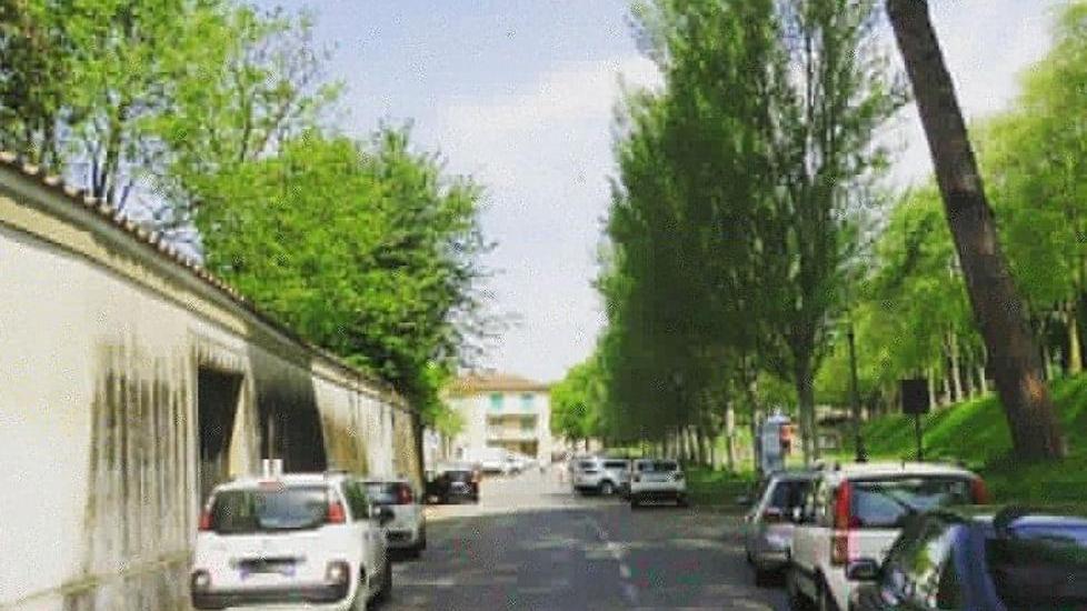 I Bacchettoni e la congrega del silenzio