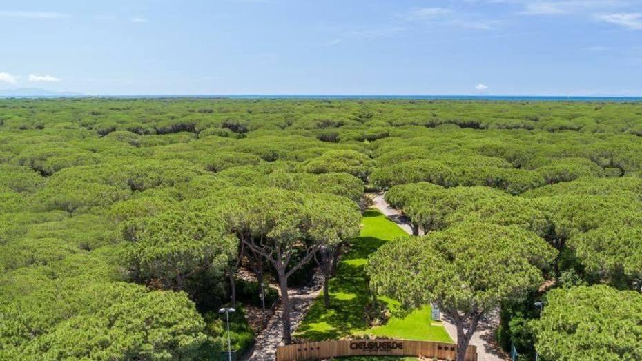 Cieloverde vince al Tar Via libera a 41 bungalow