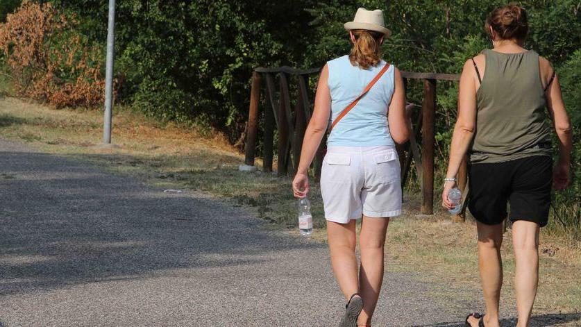 Parchi da sistemare C’è bisogno di più soldi