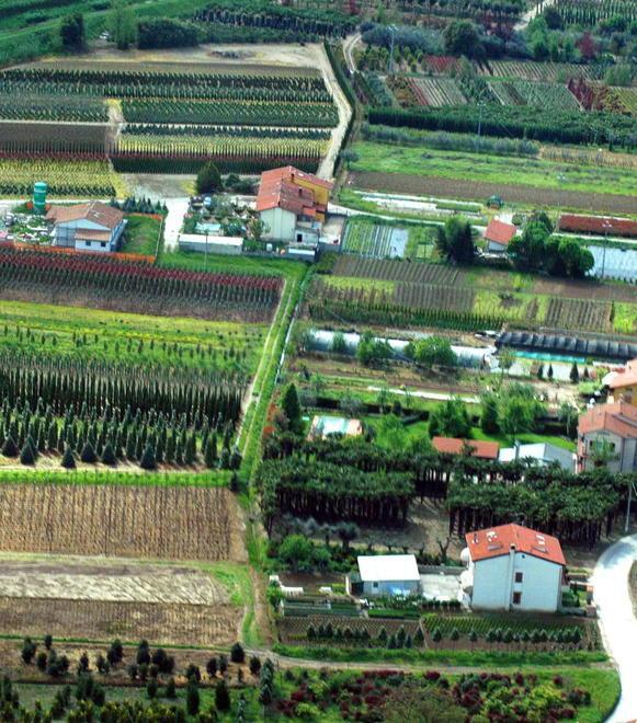 «No a nuovi spazi per i vivai» Venerdì incontro a Pontelungo