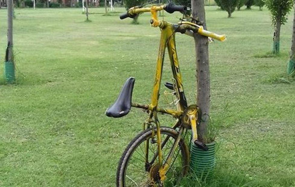 Massenzatico, teppisti danneggiano il parco 