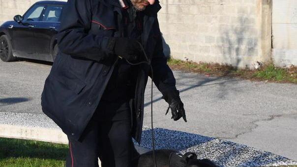 Arrestato per spaccio denunciata la sua amica