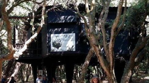 “Erotismo e natura”, inediti di Giorgini a Casa Esagono