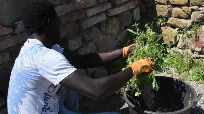 Bright e Bubacar fuggiti dal loro Paese lavorano tra i ruderi
