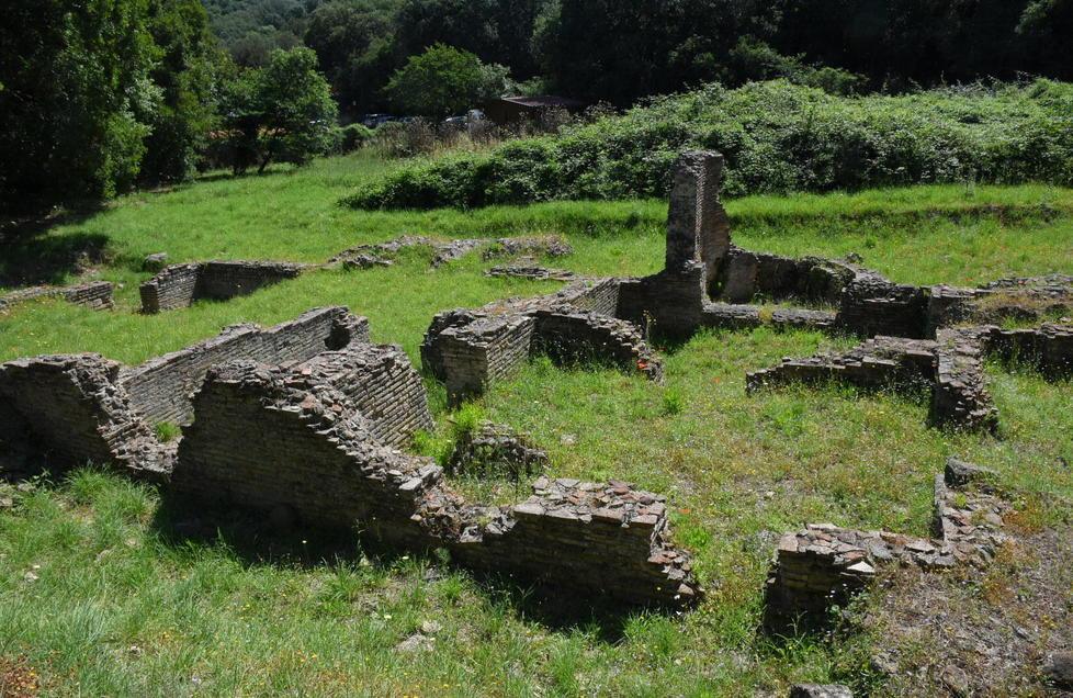 Roselle, scavi inghiottiti dalle erbacce 