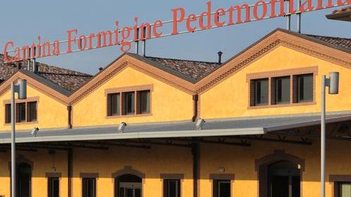 Rivista tedesca premia il vino della Cantina Pedemontana
