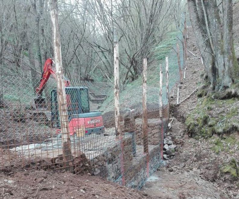 Un chip nel collare e l’app rintraccia il lupo nel Parco faunistico 