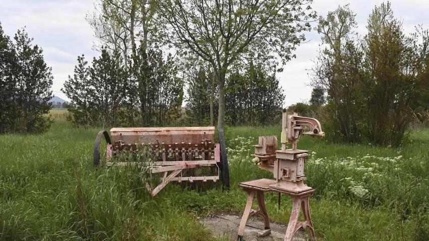 «Le vostre vigorose ruspe contro i “semi” di riflessione»