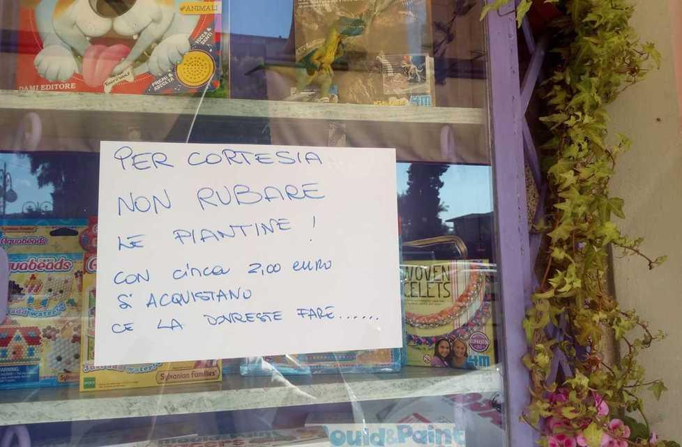 Il progetto della giunta: un chiosco alla Desiata per lo street food estivo 