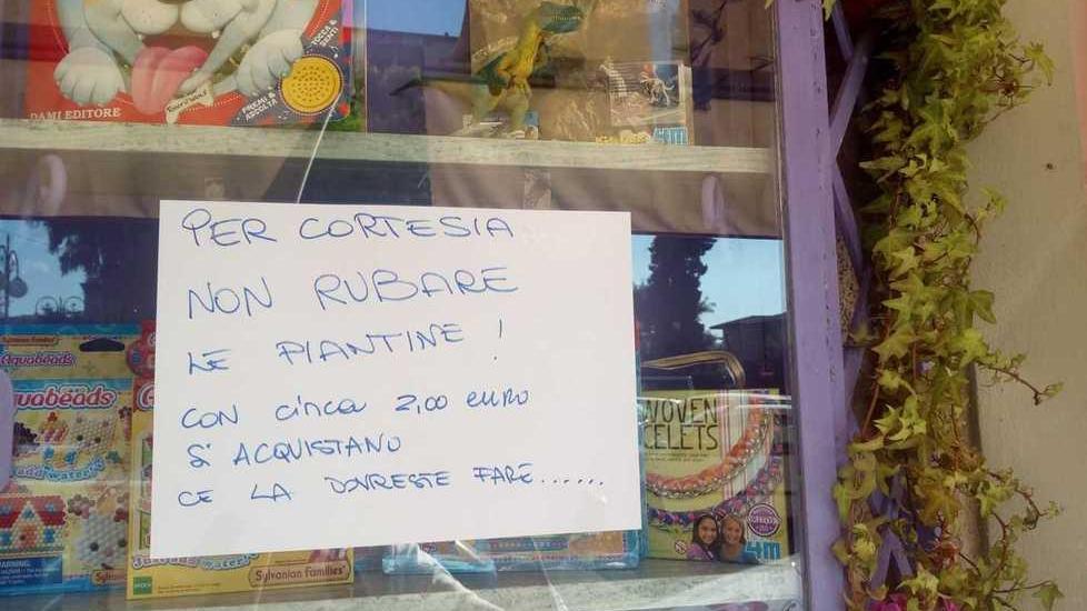 Il progetto della giunta: un chiosco alla Desiata per lo street food estivo
