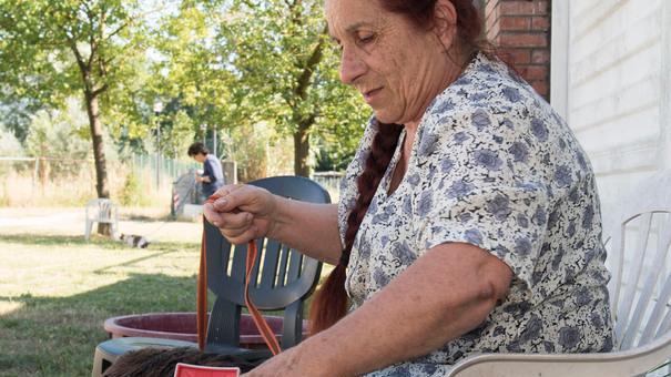 L’estate caldissima del canile comunale «Siamo pieni, accettiamo solo urgenze»