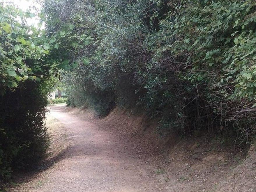 Il comitato alla giunta: «Città troppo sporca»