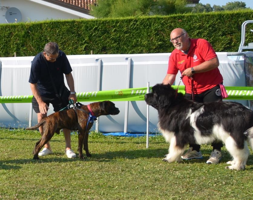 Oggi grande festa al nido Le Formiche 