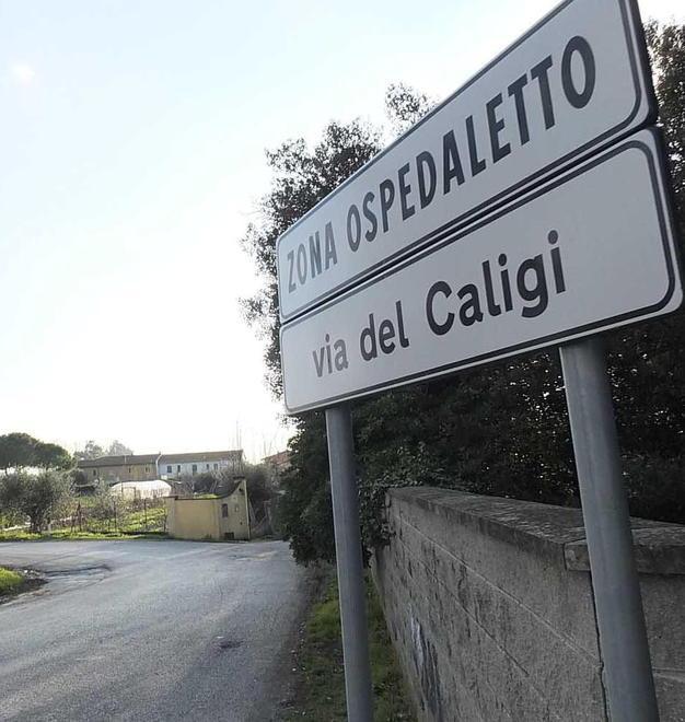 Centrale a biomasse chiesto al Comune maxi risarcimento di nove milioni 